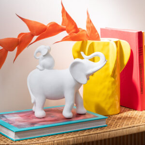 Olifant Draagt Baby 