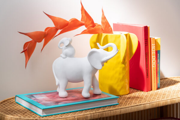 Olifant Draagt Baby 