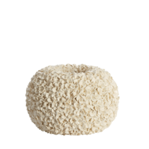 Vaas PHYLIA Creme 38cm